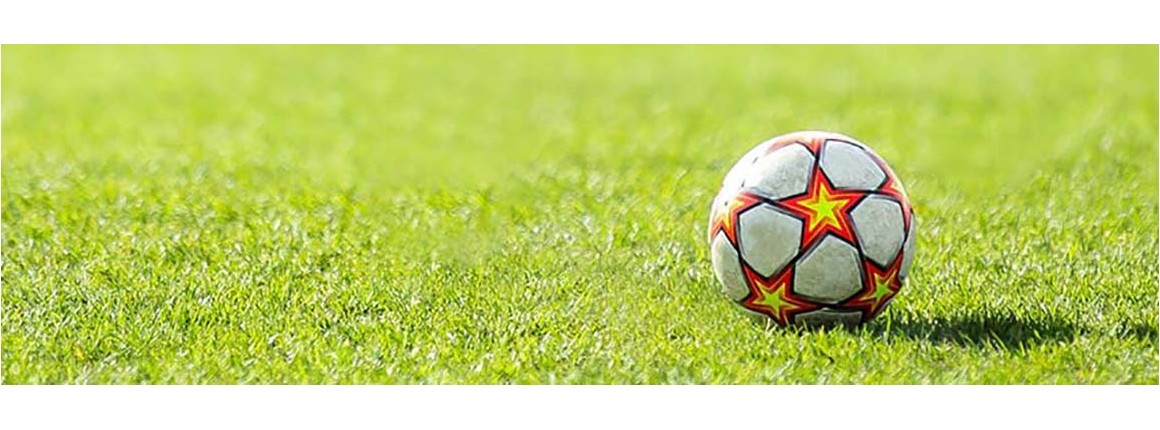 We invite everyone to the XI Sokolik Tournament