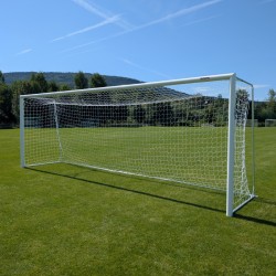 Professional football goals...