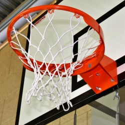 STANDARD fixed basketball...
