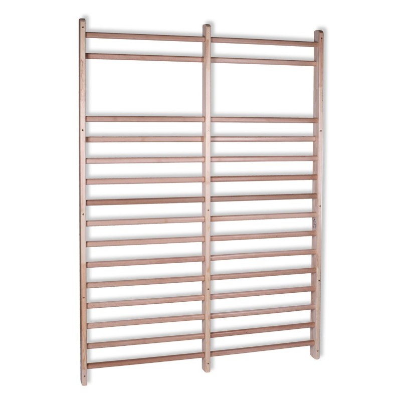 Double gymnastic wall bars Double gymnastic wall bars
