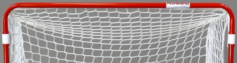 Match and training floorball goals with nets