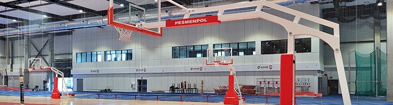 Professional, training and mini-portable basketball backstops