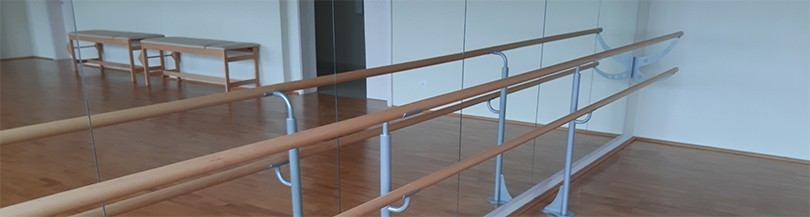 Wall gym mirrors, smooth or with sandblasted posture correction grid